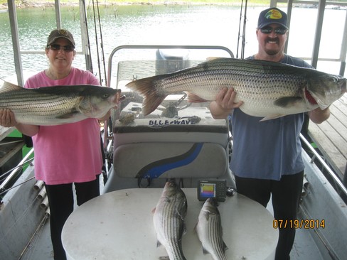 Nice Striped Bass